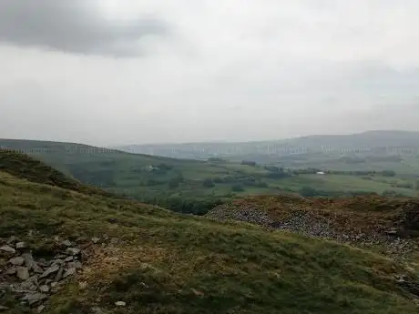 Photo de Musbury Tor