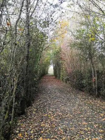 Photo de Bird observatory