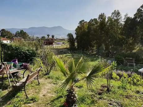 Photo de Finca El Ratón