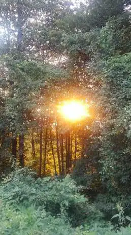 Photo de La Rupe Tremante