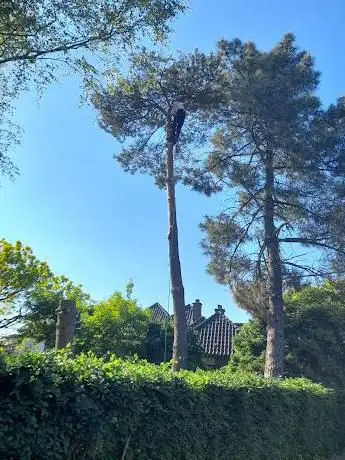 Sterkens kleinschalig grond loon en afbraakwerken. Vellen van bomen.