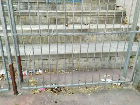 Photo de Canchas de baloncesto y fútbol sala