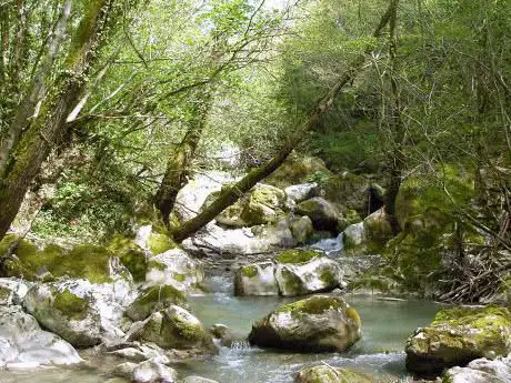 Photo de Parco Fluviale e Fonti del Verrino