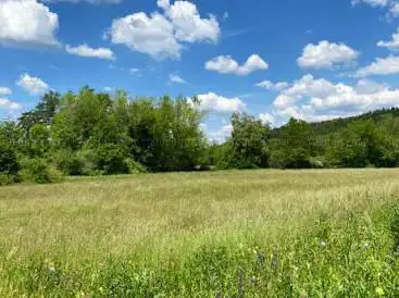 Brunnmatte Nature Reserve