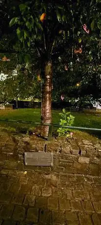 Monument of the people who died on the street.