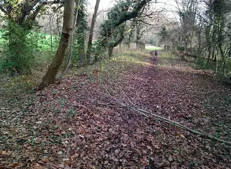 Photo de Marlborough Park