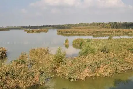 Oasi di Marmorta