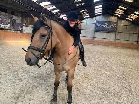Photo de Manege Galgehoeve