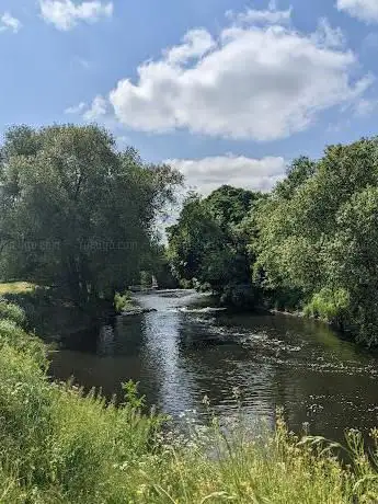 Photo de Kilnhurst Ings Nature Reserve