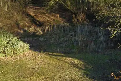 Photo de Mosbach Pond