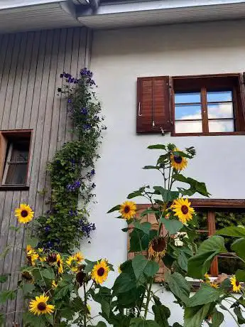 Reformed parsonage Veltheim
