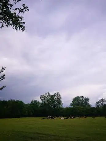 Photo de Great Bowden Fields