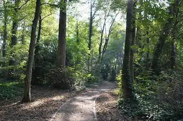 Photo de Parc de la maison des enfants