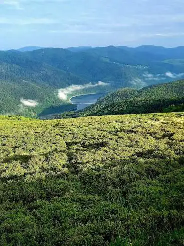 Photo de Point de vue sur le lac de Wildenstein