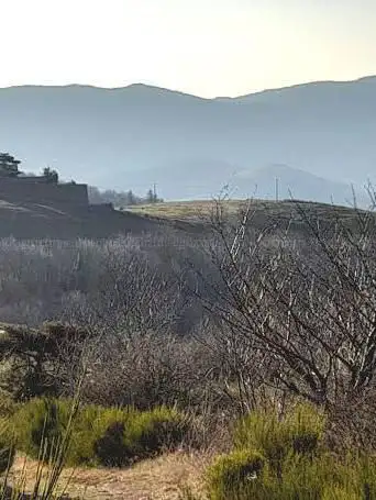 Photo de Les Landes du Beaujolais