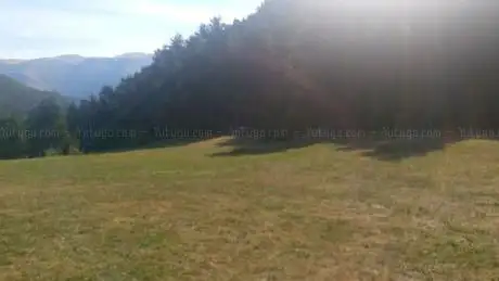 Area picnic de la Sine