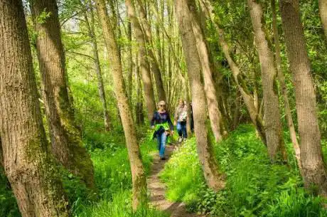 Start wandelingen Hoksent-Molhem Peer Bosland