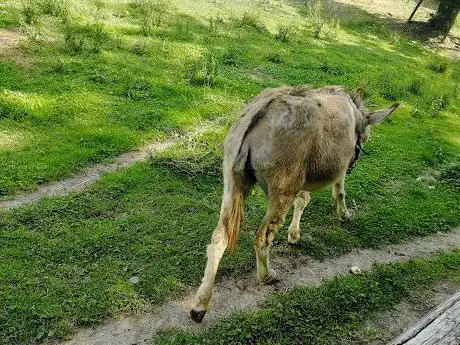 Parco Del Nobile
