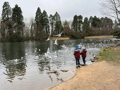 Photo de Tredegar Park Lake