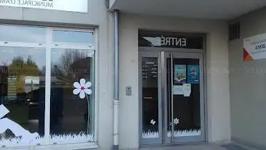 Bimag