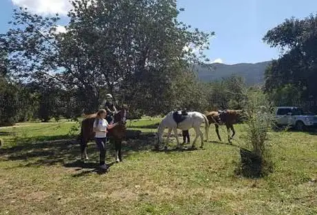 Maneggio Poggio dei Pini