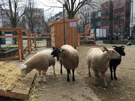 Ferme Pédagogique du Jardin d'Éole