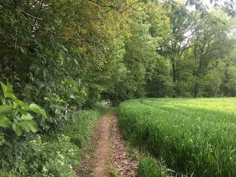 Photo de Parkbos-Uilenbroek