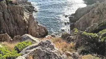 Puntiglione