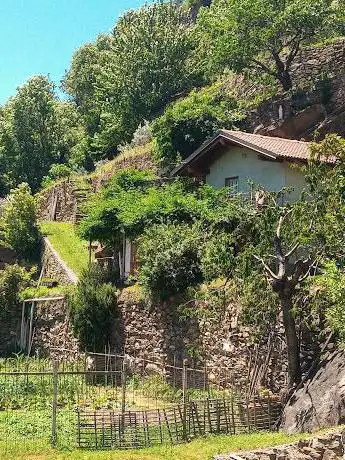 La baita nel frutteto