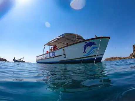 Delfino Blu Escursioni