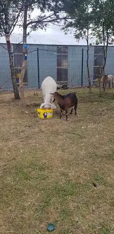 Photo de St James Community Farm