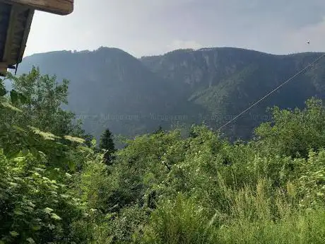 Halbweg