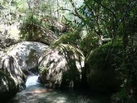 Photo de Fervenza no RÃ­o Miñor