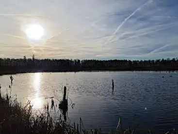 Photo de Natur-Steg