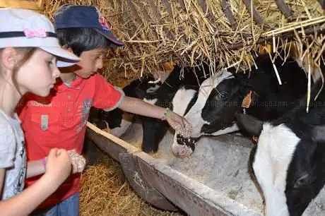 Photo de Le Savoir Vert Network Farms Educational
