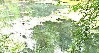 Photo de Source de la Fontaine Bouillante
