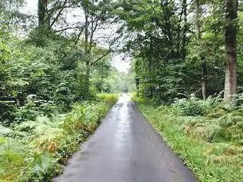 Photo de La forêt de St Amand Les eaux.. la Drève..