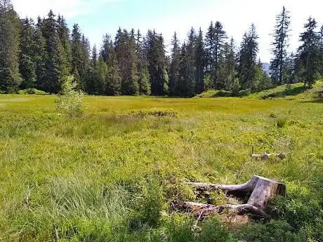 Photo de Lac des Saisies