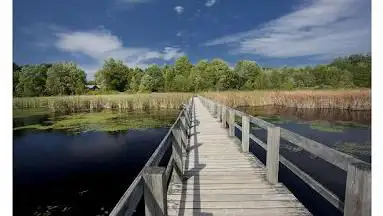 Mer Bleue Bog