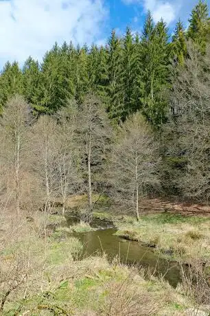 Ruisseau de Mabompré