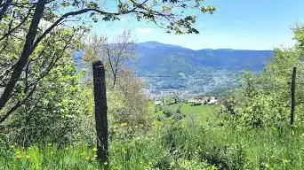Photo de Point de vue sur le Petit Ballon