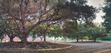 Photo de Héctor y Juana Francés Park