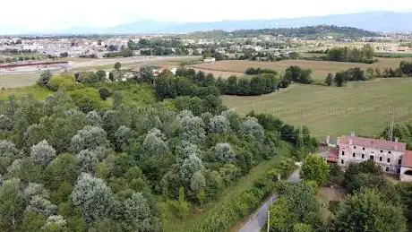 Bosco di Carpaneda