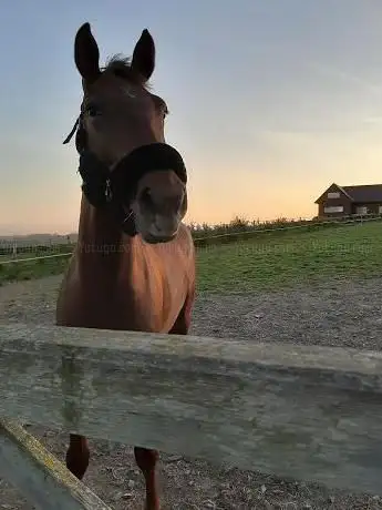 Photo de 't Weidse hof