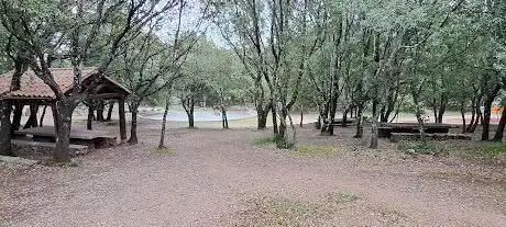 Bosco di Santa Barbara
