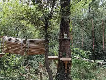 Photo de Tree Adventure Accrodiable