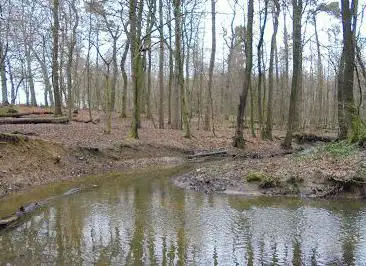 Wildparkweg