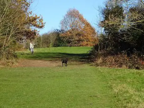 Photo de King George's Fields