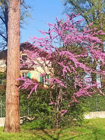 Photo de Parco Carmen Silvestroni