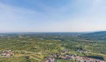 AugenBlick Oberachern Bienenbuckel